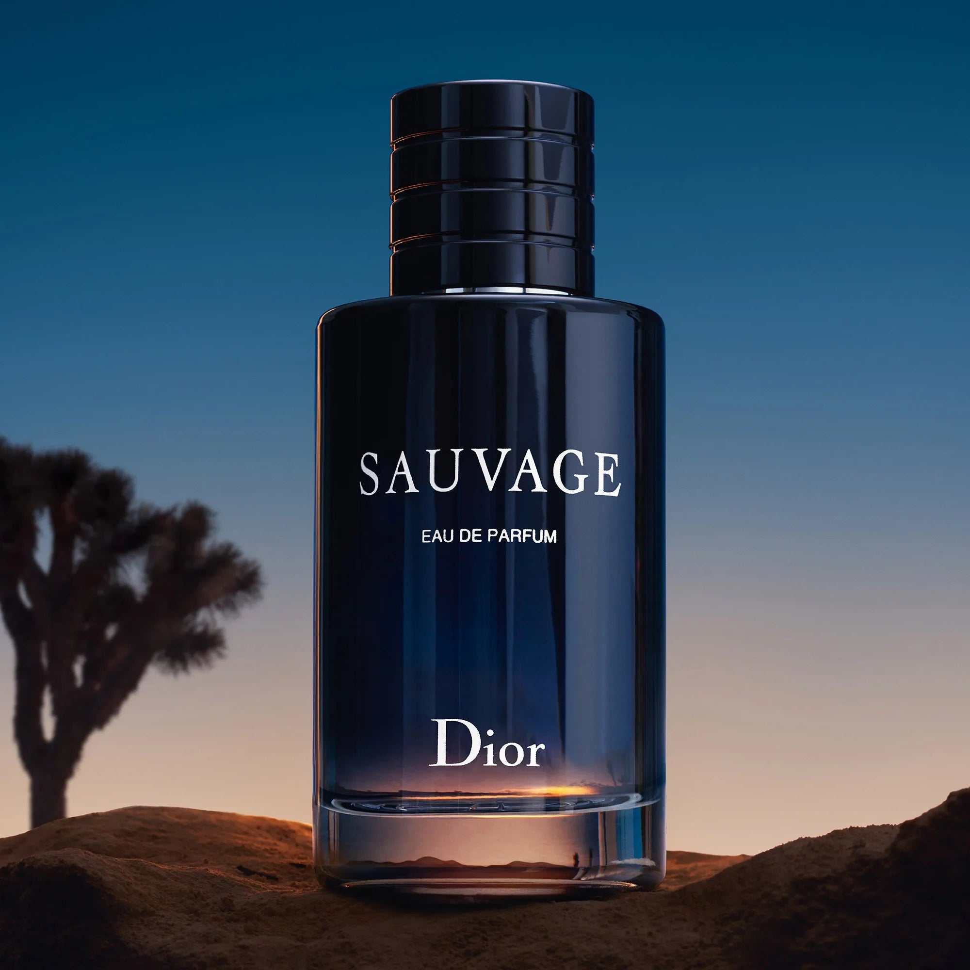 Dior Sauvage – Eau de Parfum (100ml)